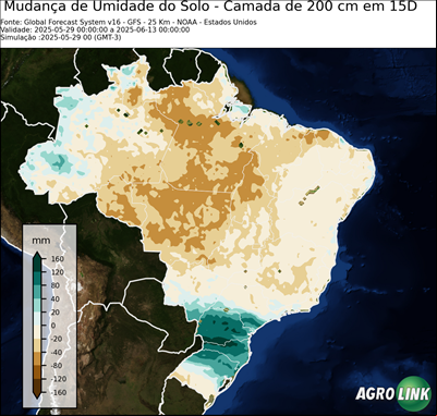 15 dias