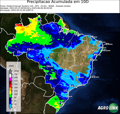 10 dias