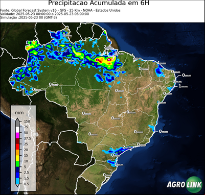 6 horas