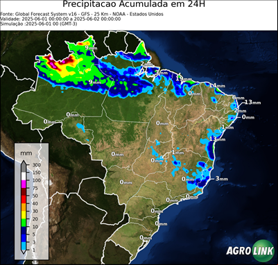 24 horas