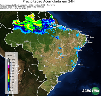 24 horas