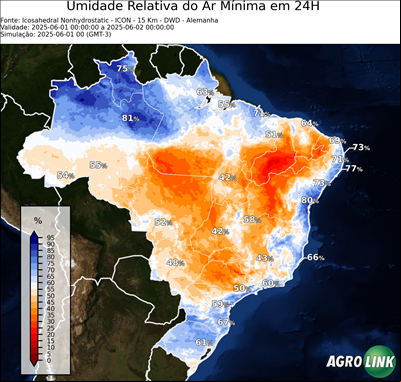 24 horas