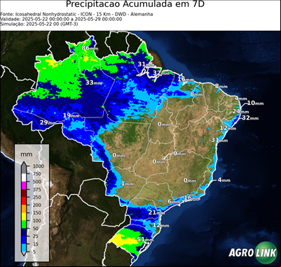 7 dias