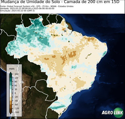 15 dias