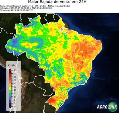 24 horas