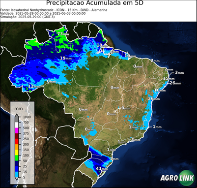 5 dias