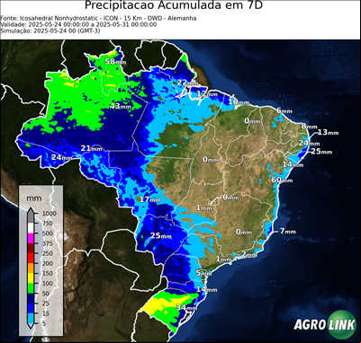 7 dias