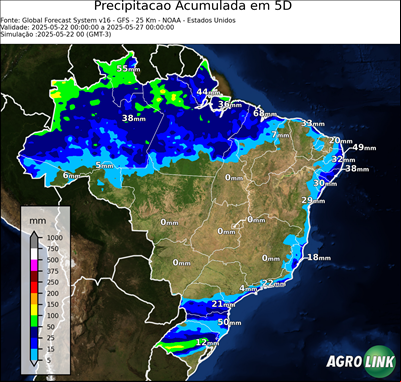 5 dias