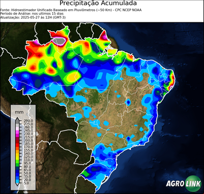 15 dias