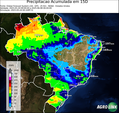 15 dias