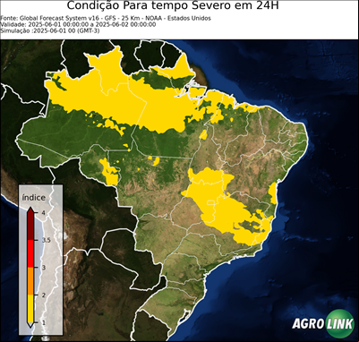24 horas