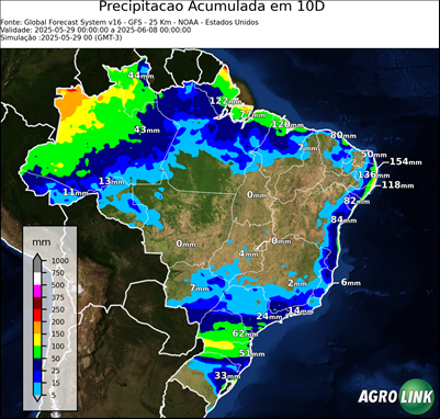 10 dias