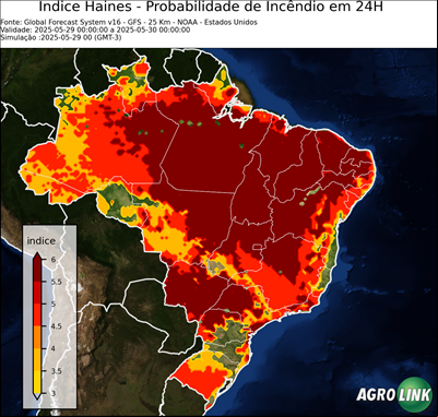 24 horas
