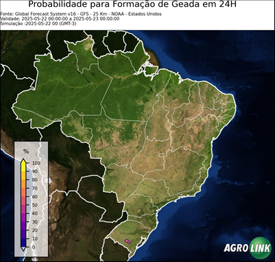 24 horas