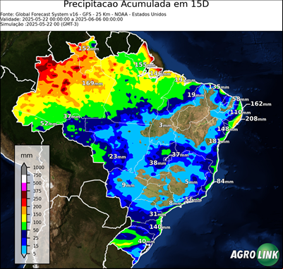 15 dias
