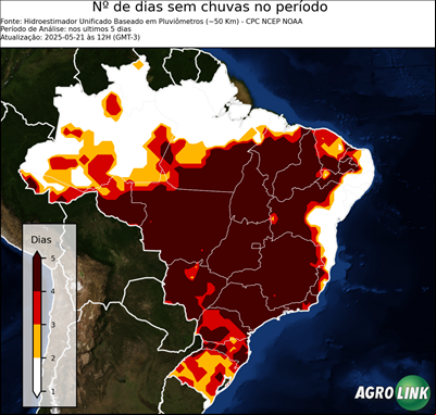 5 dias