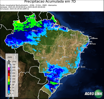 7 dias