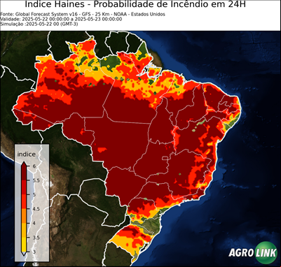 24 horas